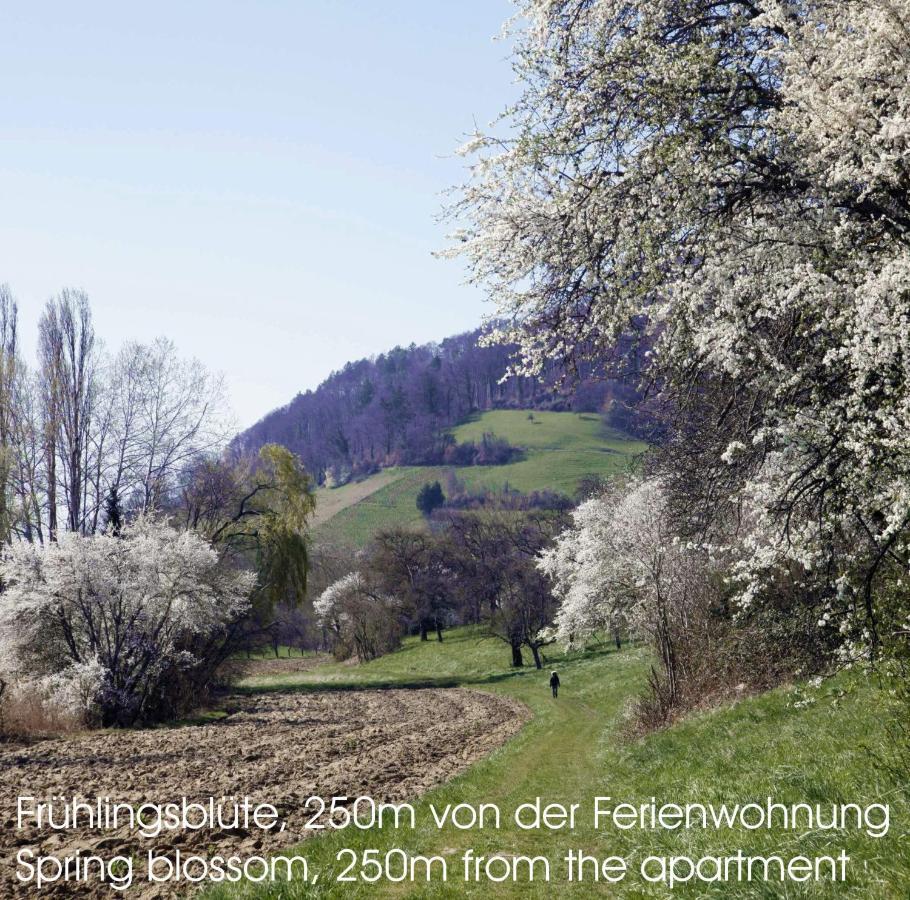Passivhaus 750M Vom Bodensee -- 2X E-Bike Inklusive -- Neubau 2019 Am Ortsrand Енінген Екстер'єр фото